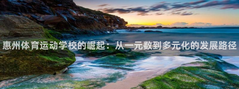 米兰体育官网下载招商电话号码是多少啊：惠州体育运动学校的崛起
