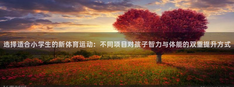 米兰体育官方正版app官网：选择适合小学生的新体育运