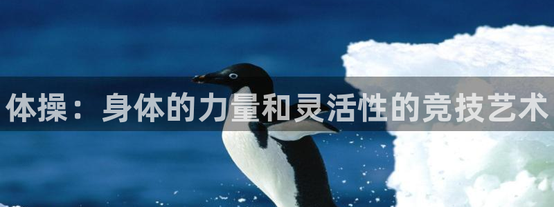 米兰体育官方平台体育