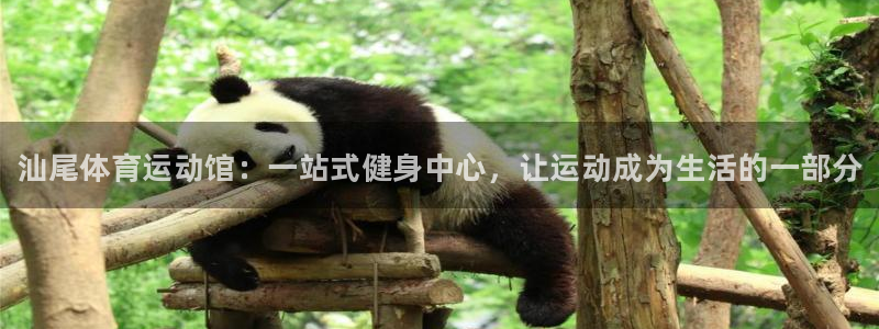 米兰体育官方正版app娱乐首页官网下载