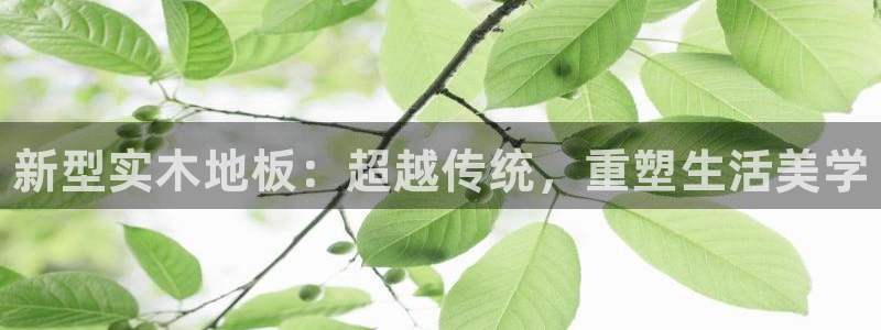 米兰体育官方正版app娱乐40996：新型实木地板：超越传统
