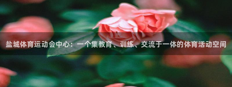 米兰体育官方正版app集团logo：盐城体育运动会中心：一个