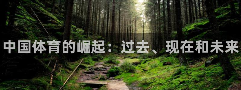 米兰体育官网下载：中国体育的崛起：过去、现在和未来