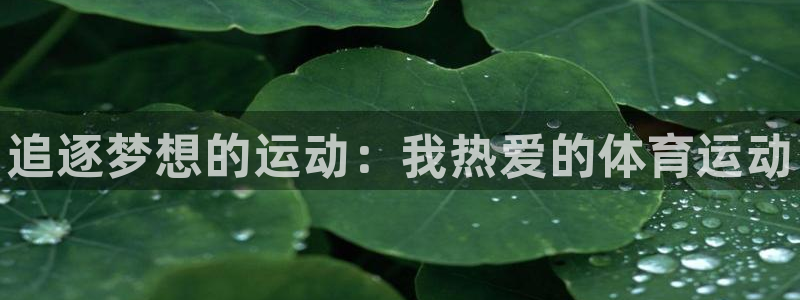 米兰体育官方正版app开户：追逐梦想的运动：我热爱的