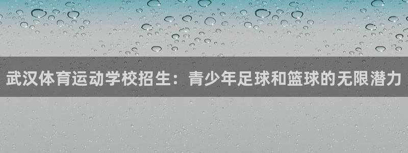 米兰体育官网下载平台注册要钱吗安全吗：武汉体育运动学