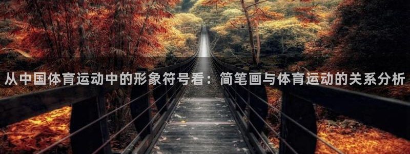 米兰体育官网下载平台注册流程视频：从中国体育运动中的