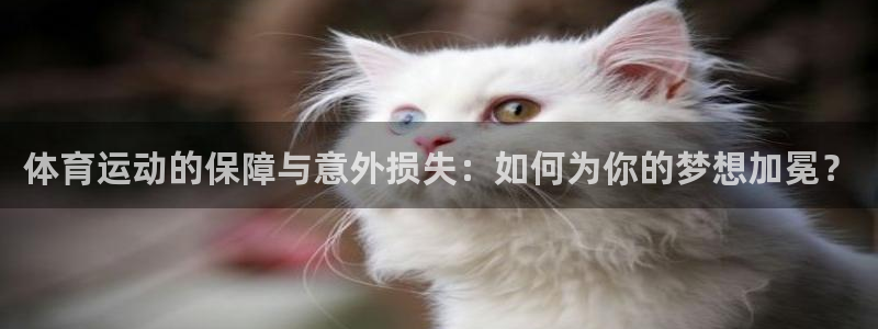 注册米兰体育官方正版app：体育运动的保障与意外损失：如何为