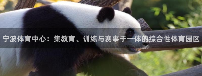 米兰体育官方正版app官网：宁波体育中心：集教育、训练与赛事