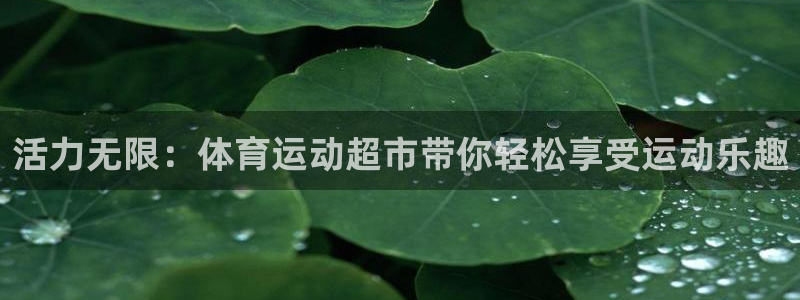 米兰体育官方正版app集团logo：活力无限：体育运动超市带