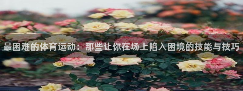 米兰体育官方正版app集团官网网址：最困难的体育运动：那些让