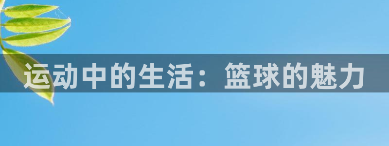 米兰体育官方正版app开户：运动中的生活：篮球的魅力
