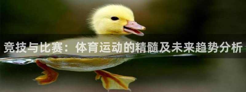 米兰体育官网下载娱乐