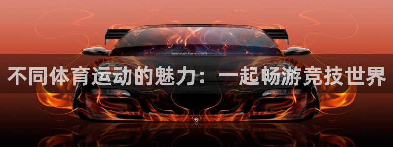 米兰体育官方正版app集团官网首页：不同体育运动的魅力：一起