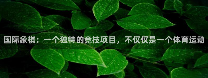 米兰体育官方正版app集团：国际象棋：一个独特的竞技项目，不