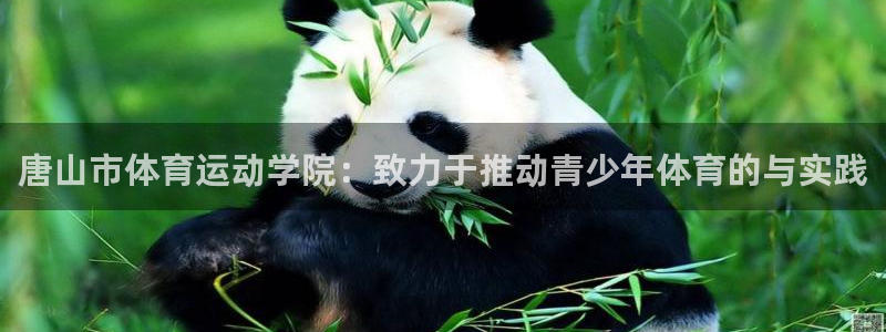 米兰体育直播在哪看