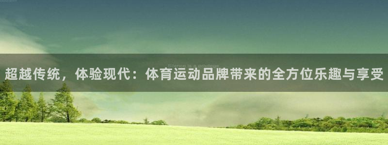 米兰体育人工客服在哪里找：超越传统，体验现代：体育运动品牌带