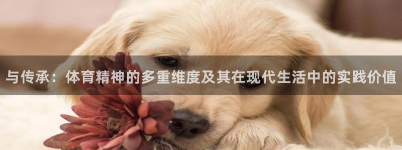 米兰体育绑定银行卡安全吗：与传承：体
