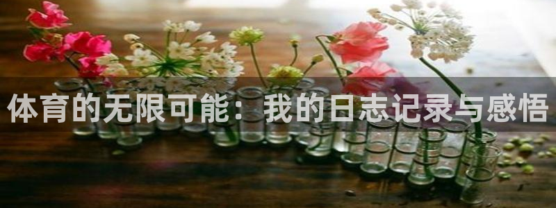 米兰体育提现要多久才能到账：体育的无限可能：我的日志记录与感