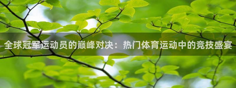 米兰体育网页入口：全球冠军运动员的巅峰对决：热门体育运动中的