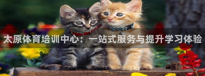 米兰体育黑款吗：太原体育培训中心：一