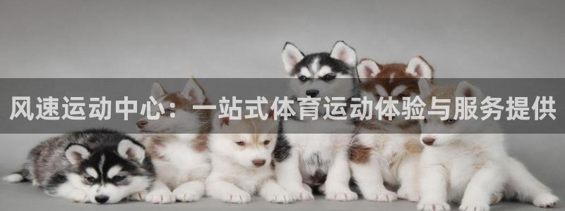 米兰体育app下载地址是什么：风速运动中心：一站式体育运动体