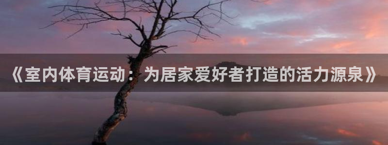  米兰体育合法吗：《室内体育运动：为居家爱好者打造的活力源泉》
