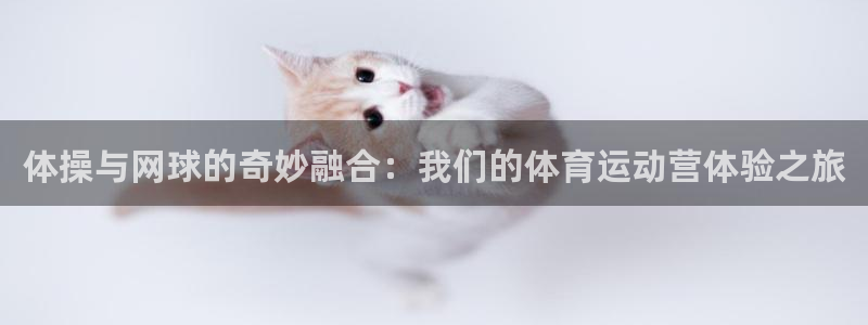 米兰体育客服电话人工服务号码：体操与网球的奇妙融合：我们的体