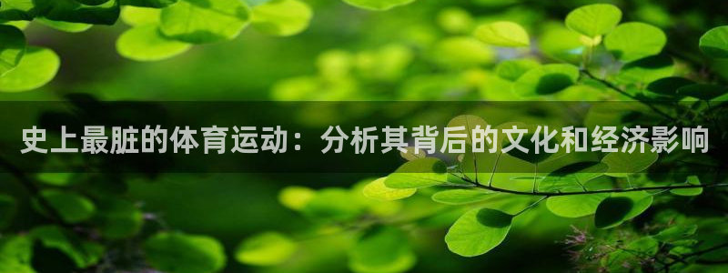  米兰体育中心：史上最脏的体育运动：分析其背后的文化和经济影响