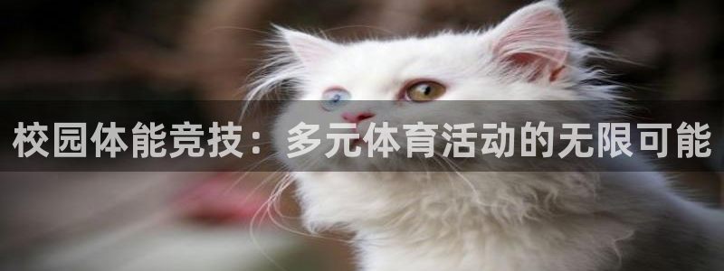  米兰体育绑定银行卡安全吗：校园体能竞技：多元体育活动的无限可