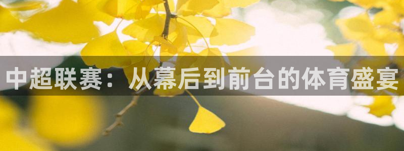 球友体育直播：中超联赛：从幕后到前台的体育盛宴