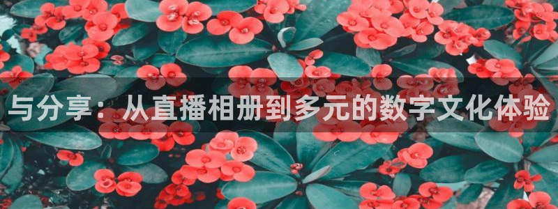 球友会体育：与分享：从直播相册到多元的数字文化体验