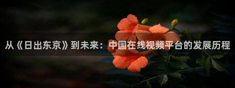 nba直播球友直播：从《日出东京》到未来：中国在线视频平台的发展历程